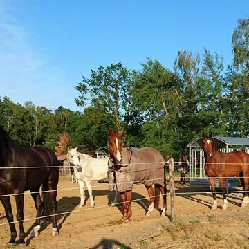 Bild: Stall in  Soltau