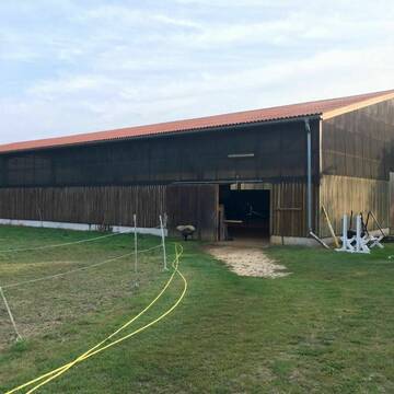 Bild: Stall in  Neustadt am Rübenberge