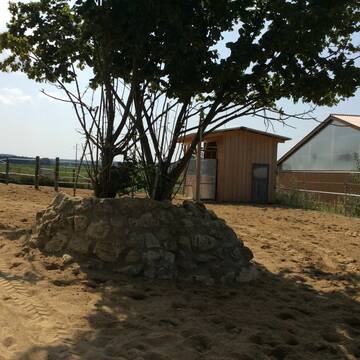 Bauminsel mit Kraftfutterstation