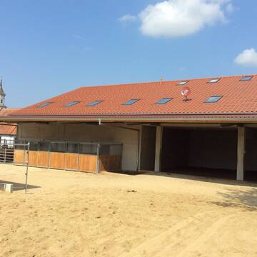 Liegehalle I  mit Waldboden