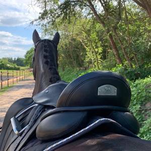 Bild: Service in  Zilshausen