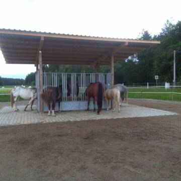 Bild: Stall in  Holzgünz