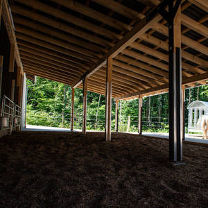 Bild: Stall in  Hohenburg