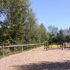 Bild: Stall in  Tamm