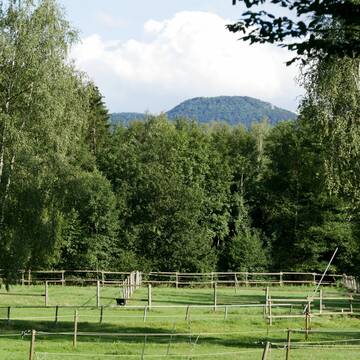 Bild: Stall in  Nürtingen