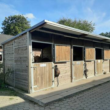 Holzställe mit Paddock
