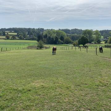 Bild: Stall in  Sprockhövel
