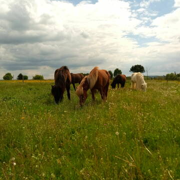 Bild: Stellenmarkt in  Epfendorf