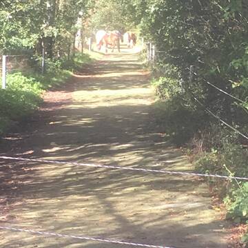 Trail mit Hecke zum Naschen