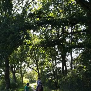 Unser Ausreitgelände direkt vor der Tür