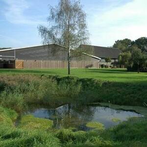 Bild: Stall in  Ratingen