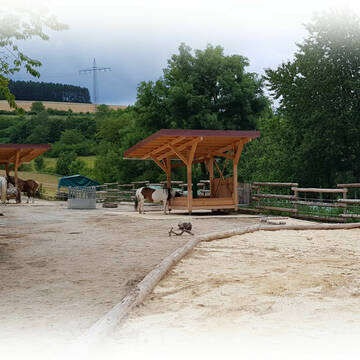 Bild: Stall in  Münster