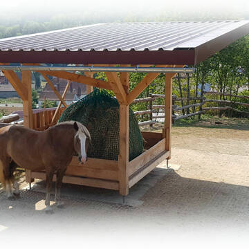 Bild: Stall in  Münster