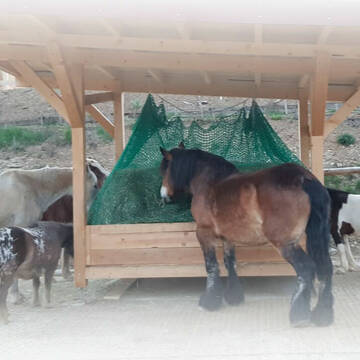 Bild: Stall in  Münster