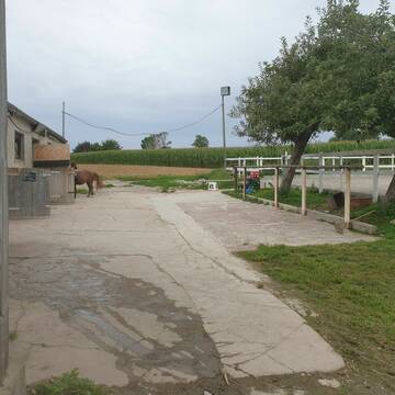 Bild: Stall in  Hochdorf