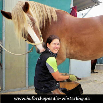 Bild: Service in  Klein-Krotzenburg