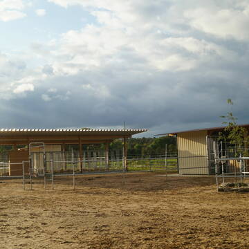 Bild: Stall in  Neuthard