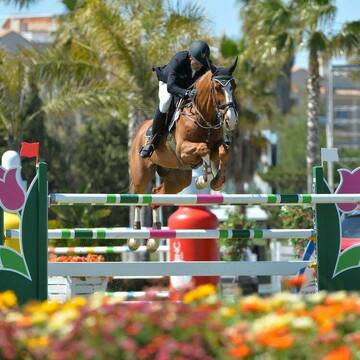 Bild: Service in  Gau-Algesheim