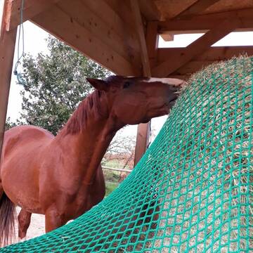 Bild: Stall in  Schwandorf