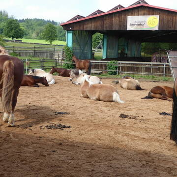 Bild: Stellenmarkt in  Schnelldorf