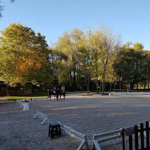 Bild: Stall in  Freiberg am Neckar