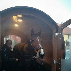 Solekammer für die Gesundheit ihres Tieres und si