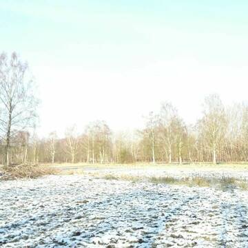 Bild: Stall in  Niendorf