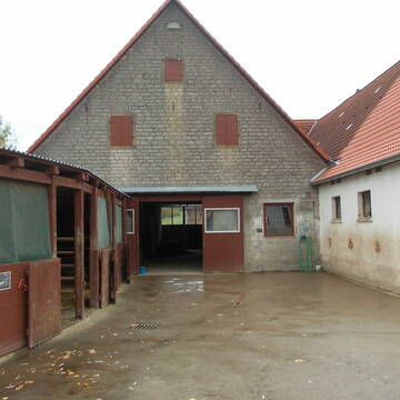 Außenboxen und Putzplatz