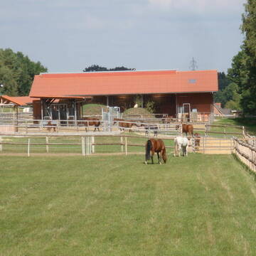 Weide mit Stallanlage im Hintergrund