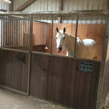 Bild: Stall in  Freisen