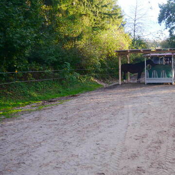 Bild: Stall in  Gilching