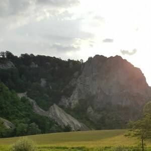 Ausreitgelände Donautal