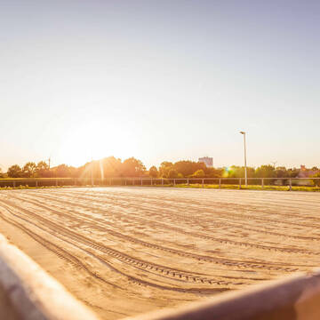 Bild: Stall in  Rosendahl