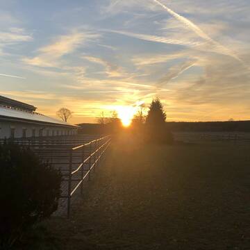 Bild: Stall in  Buchloe