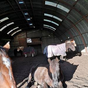 Liegehalle und überdachte Flächen zum Ruhen