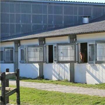 Bild: Stall in  Velbert