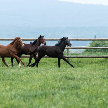 Bild: Stellenmarkt in  Hochheim am Main