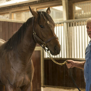 Bild: Stall in  Hochheim