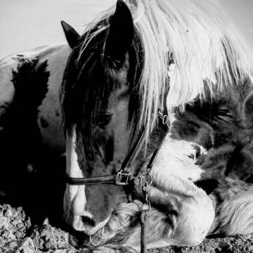 Bild: Service in  Beiersdorf