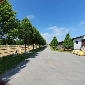 Bild: Stall in  Riedstadt