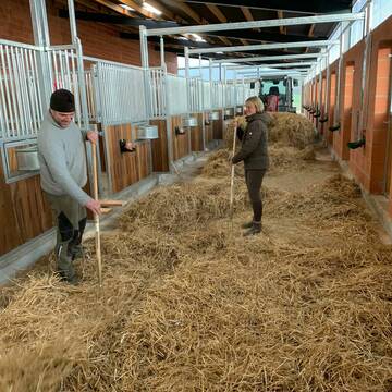 Bild: Stall in  Diemarden