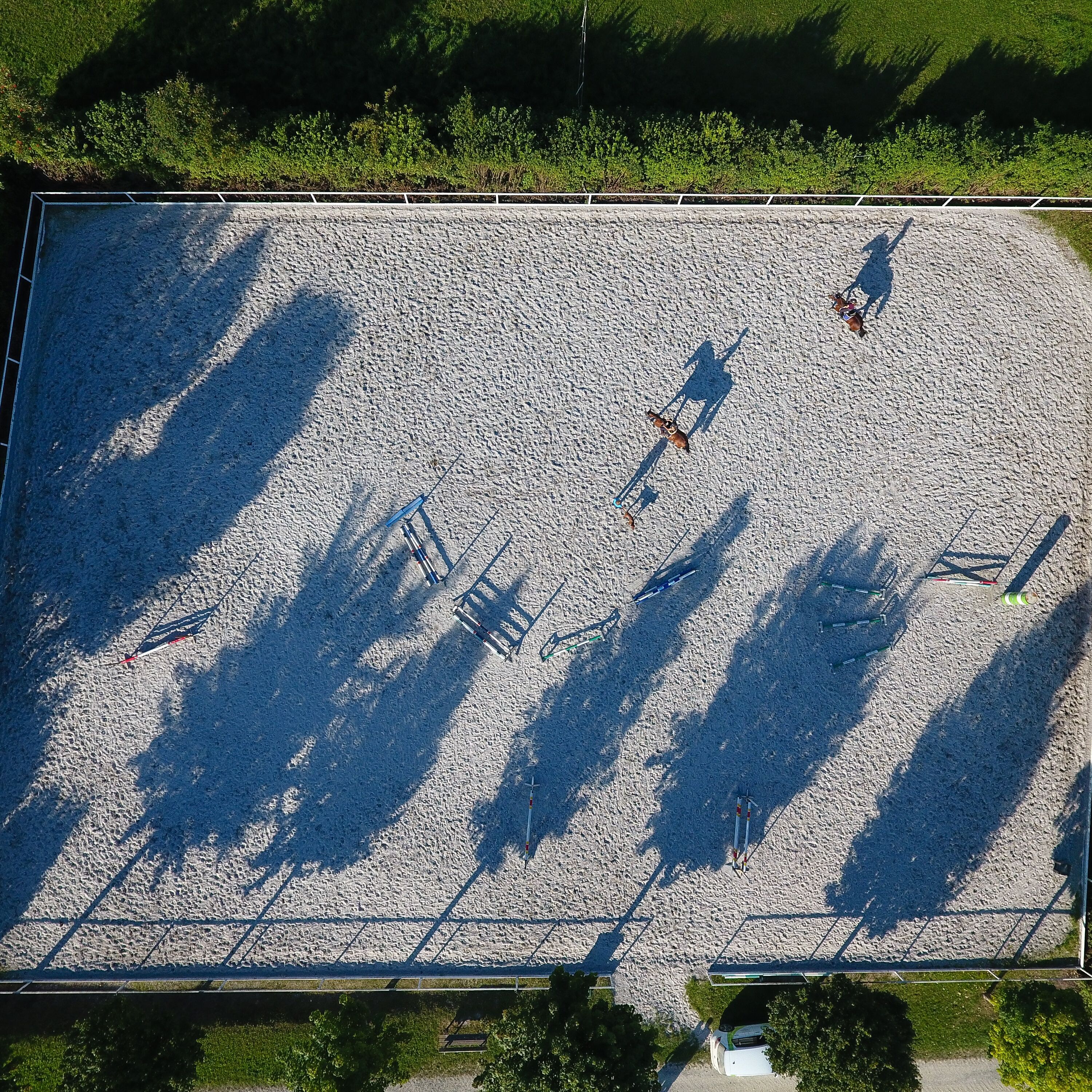 Bild: Stall in  Diemarden