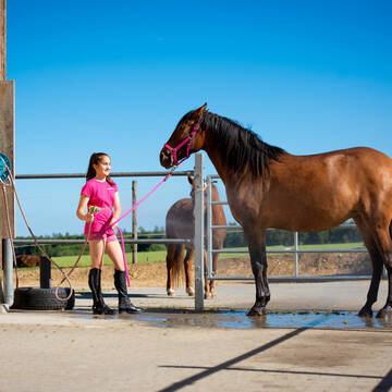 Bild: Stall in  Winterlingen