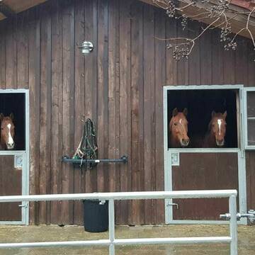 Bild: Stall in  Holzolling