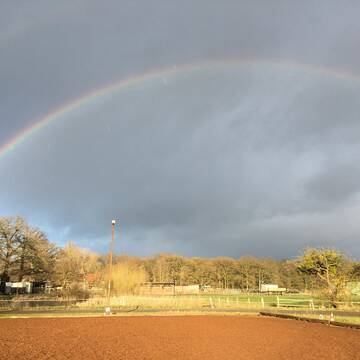 Regenbogen Blick vom Reitplatz