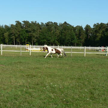 Beispiel für unsere Weiden