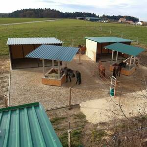 Kleinstherden-/Rentnerlaufstall