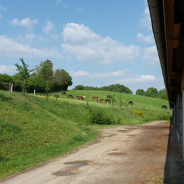 Bild: Stall in  Lohmar