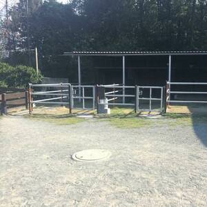 Bild: Stall in  Cleeberg