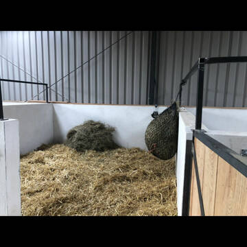 Bild: Stall in  Melle